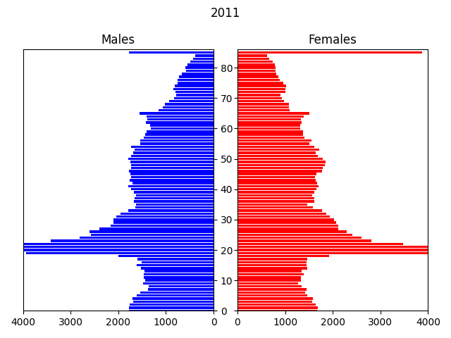Population pyramid